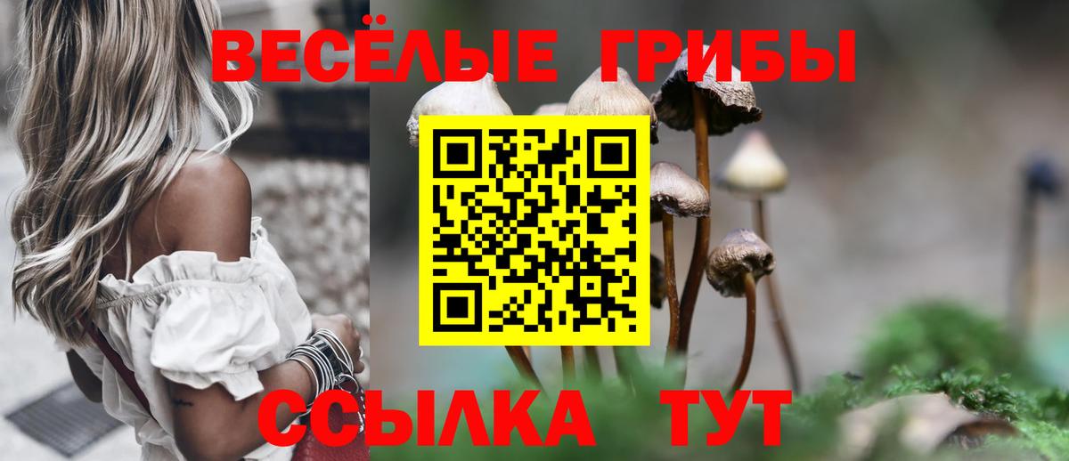 Галлюциногенные грибы прущие грибы Медногорск