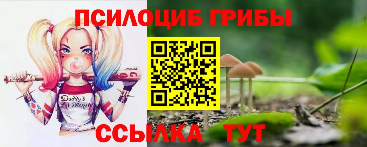 Галлюциногенные грибы мицелий  Галлюциногенные грибы Cubensis  Медногорск  Вход с VPN 